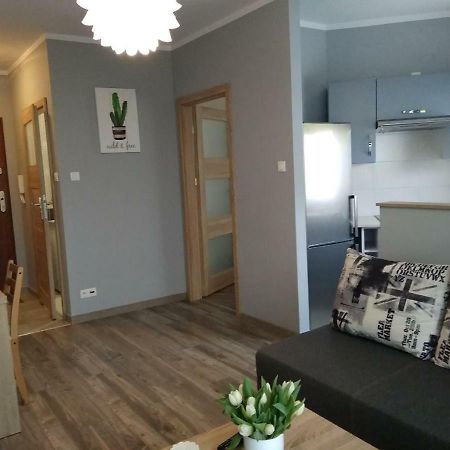 דירות גורז'וב ווילקופולסקי Apartament Edelmana מראה חיצוני תמונה