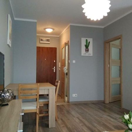 דירות גורז'וב ווילקופולסקי Apartament Edelmana מראה חיצוני תמונה